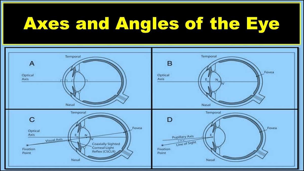 Axes of the Eye Optical, Visual Axis, Angles & More Health Kura