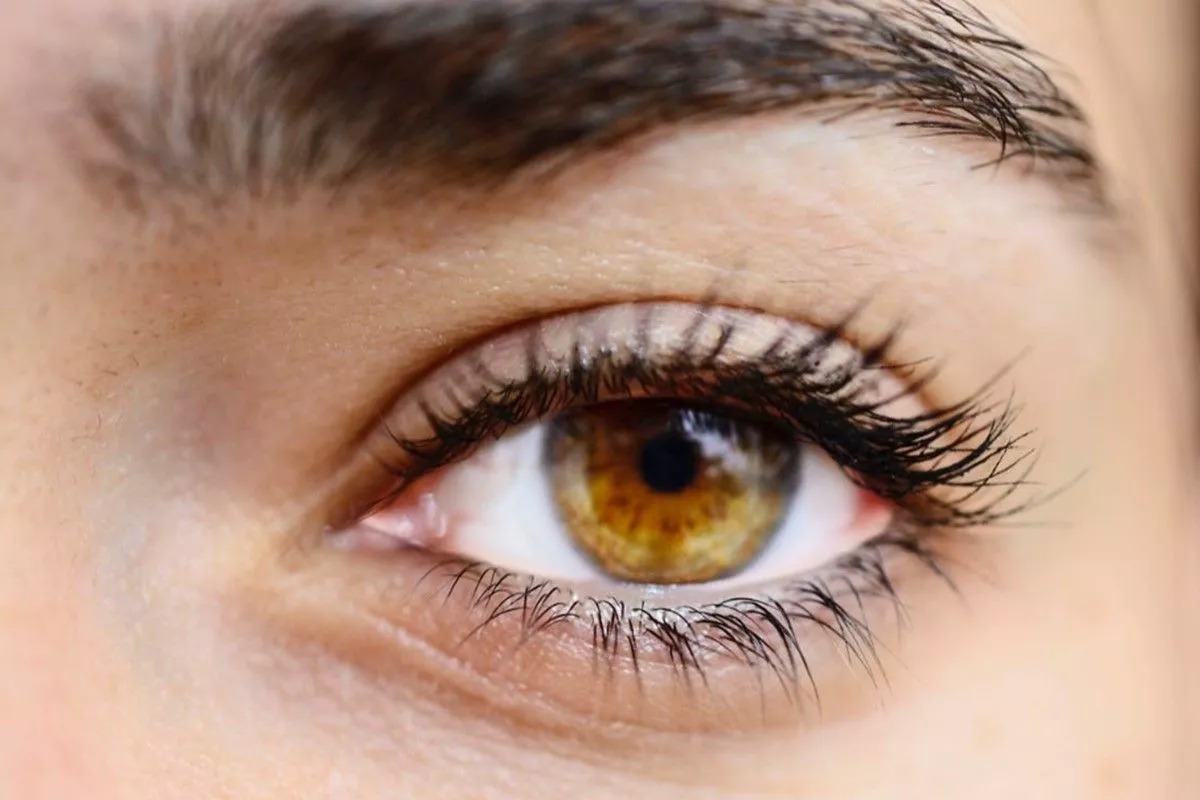 what-color-is-hazel-eyes-hazelnut-eye-colourwhat-color-is-hazel-eyes-hazelnut-eye-colour