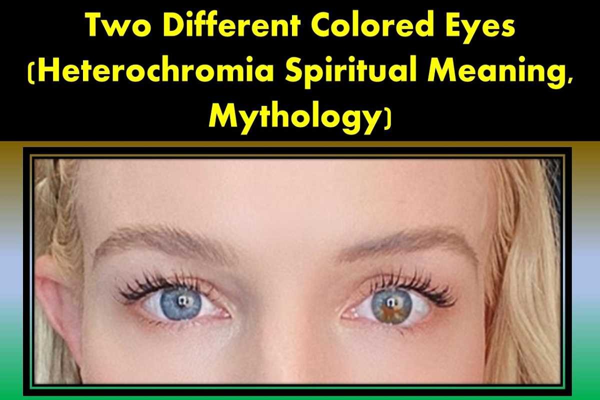 two-different-colored-eyes-central-heterochromia-spiritual-meaning-mythology-superstition