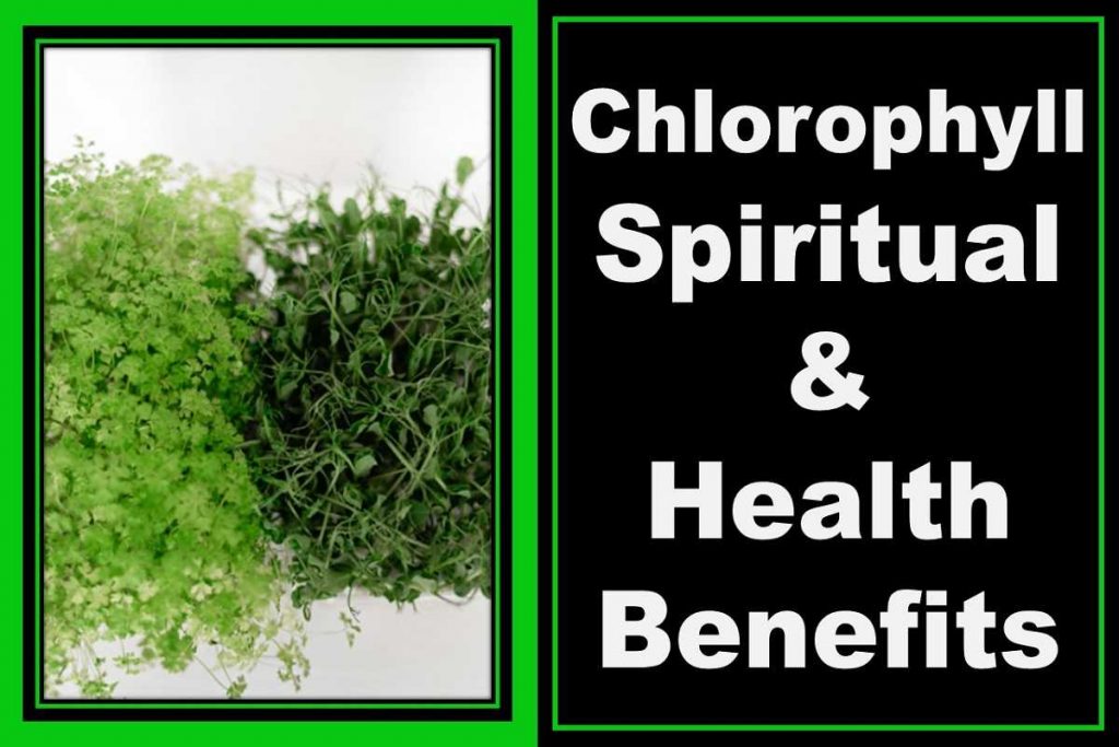 chlorophyll-spiritual-benefits-health-benefits