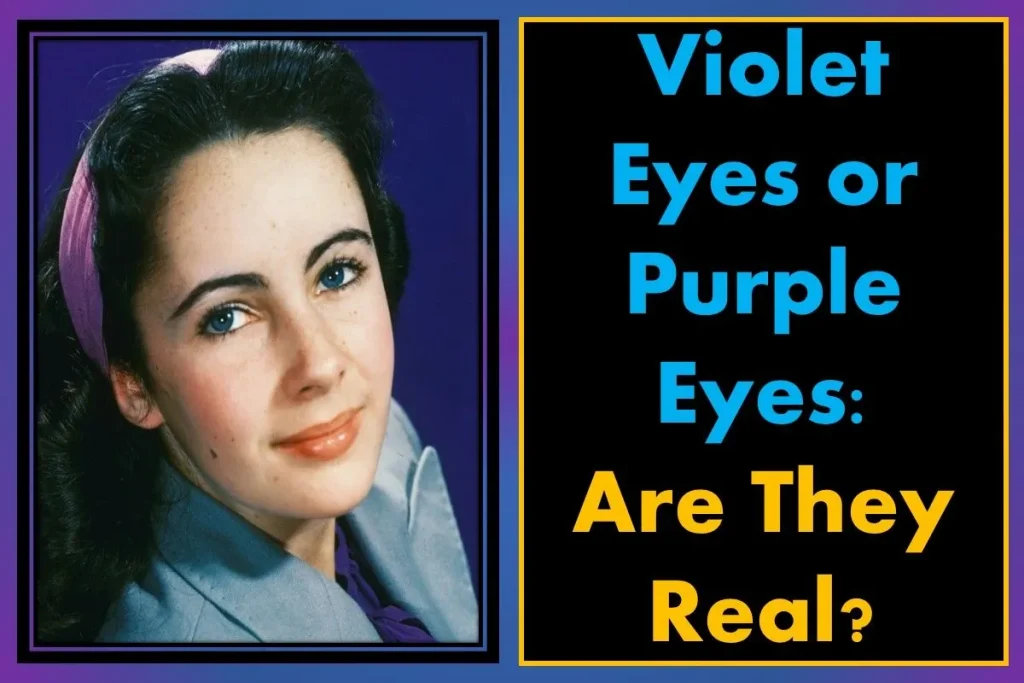Violet Eyes or Purple Eyes: Are They Real? 3 people-with-purple-eyes-violet-eyes-are-they-real